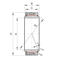 P(gun)(ji)S GE950-DW-2RS2, (j) DIN ISO 12 240-1 (bio)(zhn), Soɂ(c)ܷ
